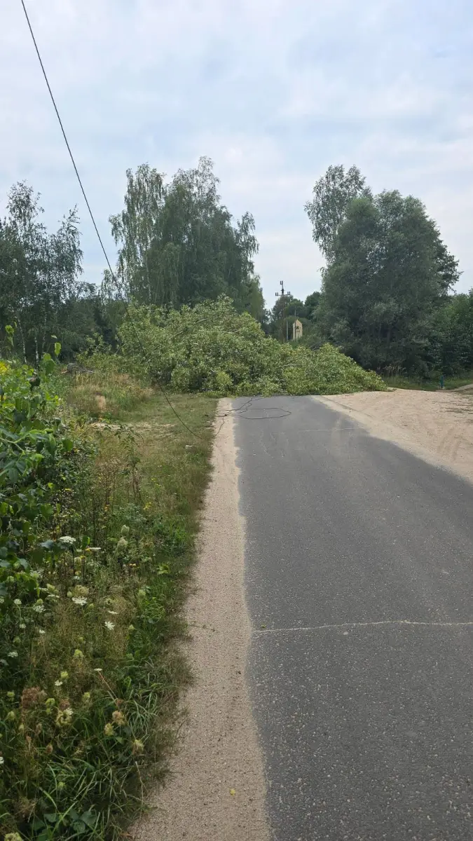 Interwencje strażaków z Trzebienia