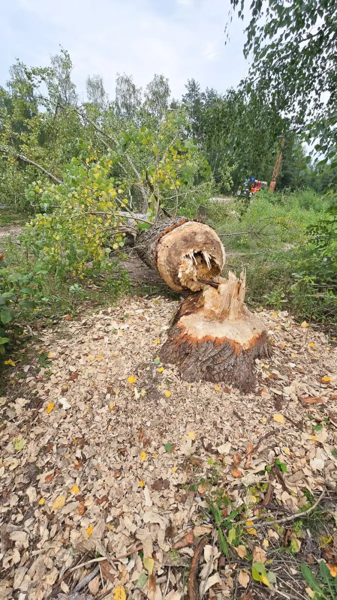Interwencje strażaków z Trzebienia