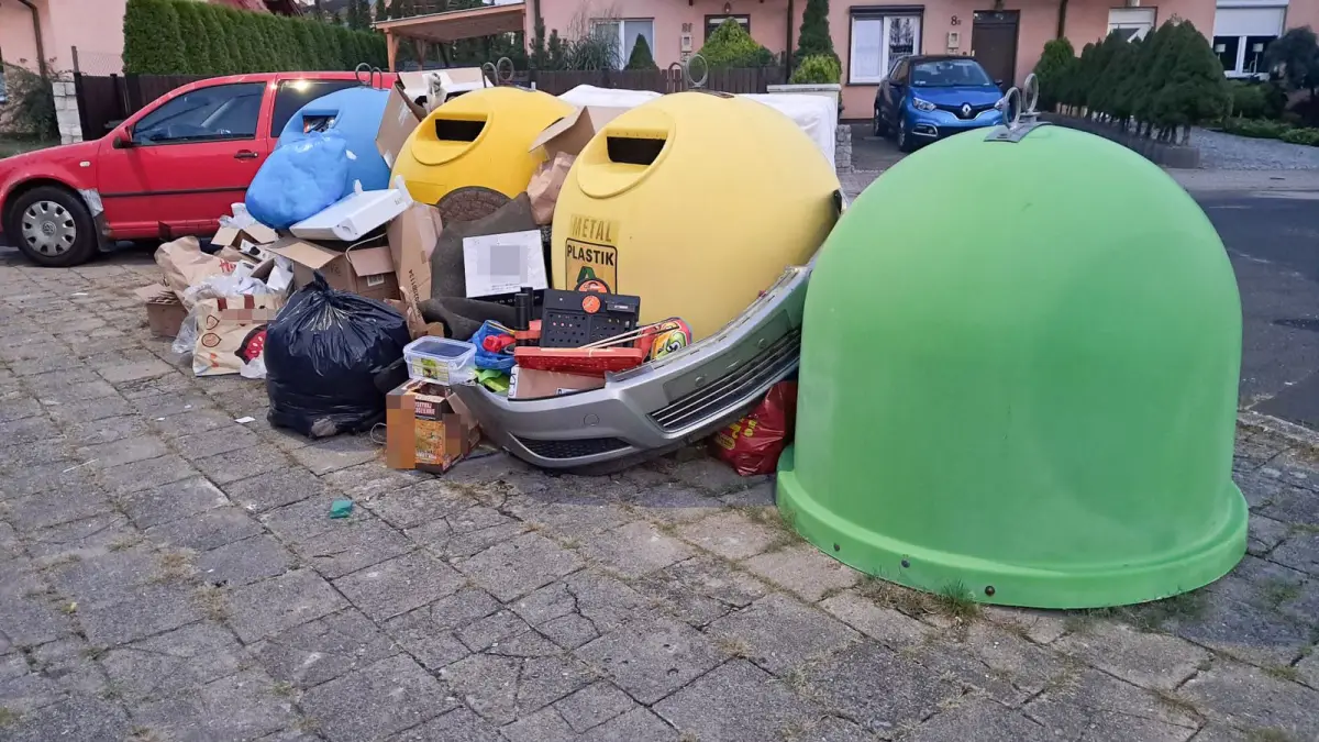 Armagedon przy śmietniku na Artyleryjskiej