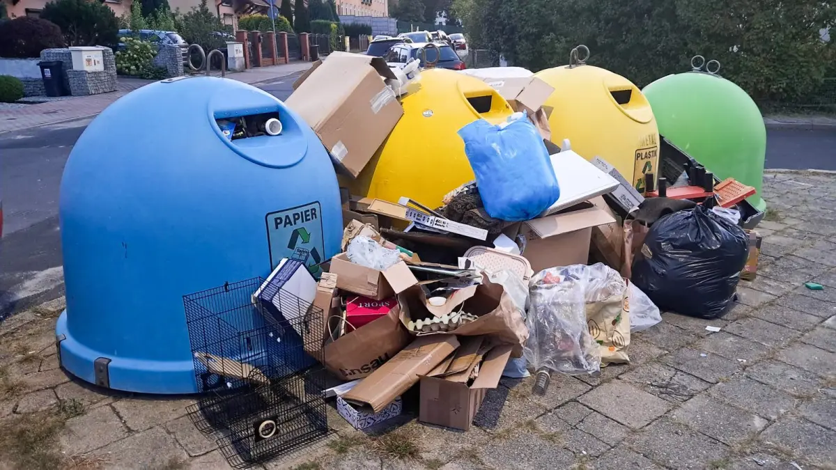 Armagedon przy śmietniku na Artyleryjskiej