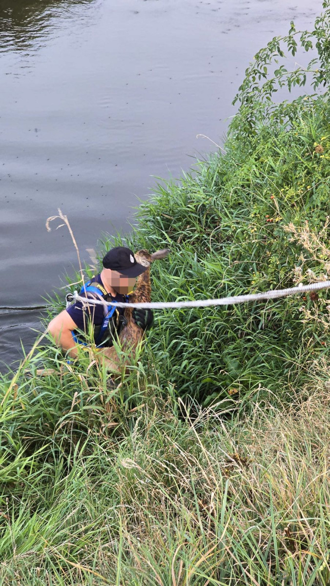 Akcja strażaków z Trzebienia