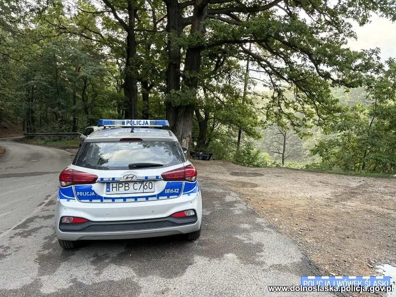 Radiowóz i auto