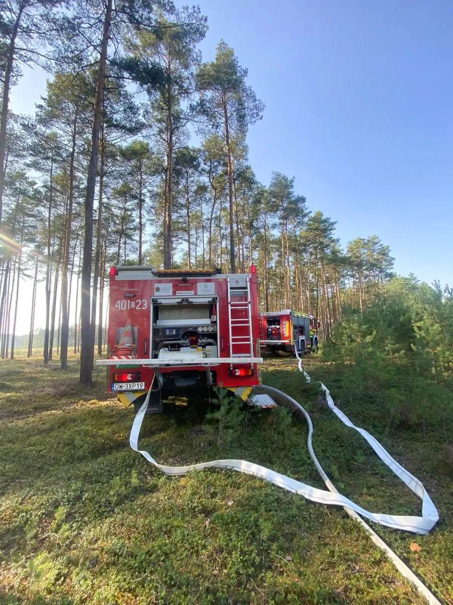 Pożar w Nadleśnictwie Przemków