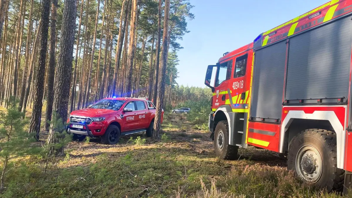 Pożar w Nadleśnictwie Przemków