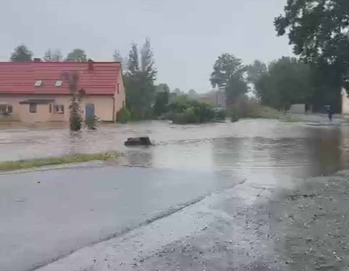 Sytuacja w powiecie lwóweckim