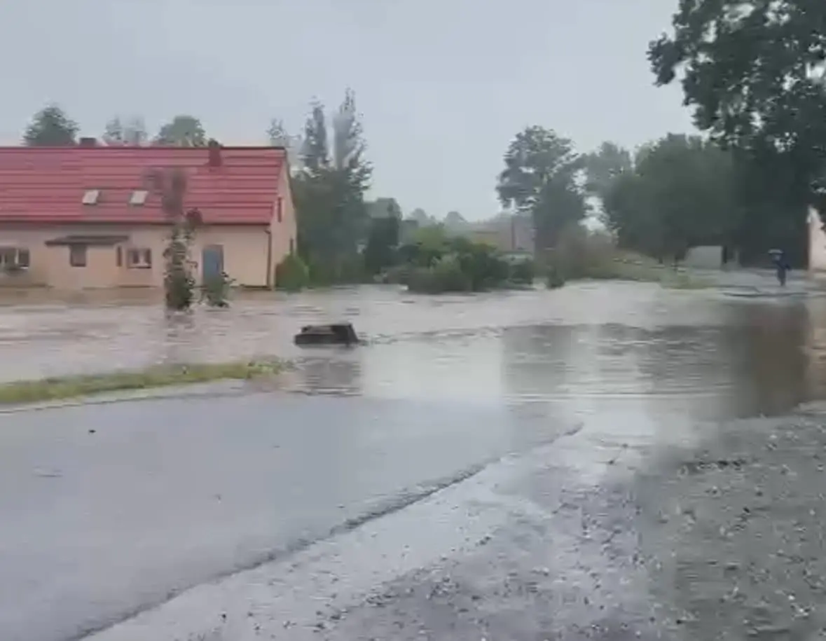 Sytuacja w powiecie lwóweckim