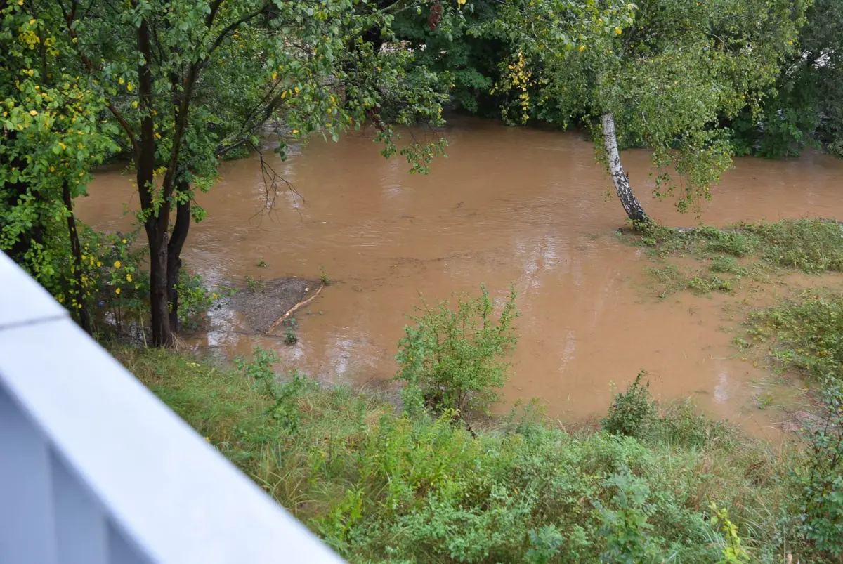 Bóbr - zdjęcia wykonane 16 września, kilka min pod 8.00