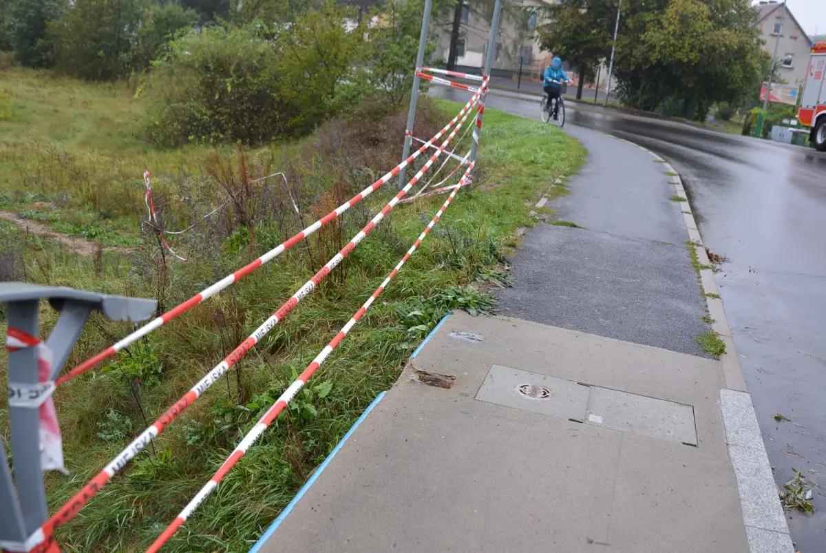 Bóbr - zdjęcia wykonane 16 września, kilka min pod 8.00