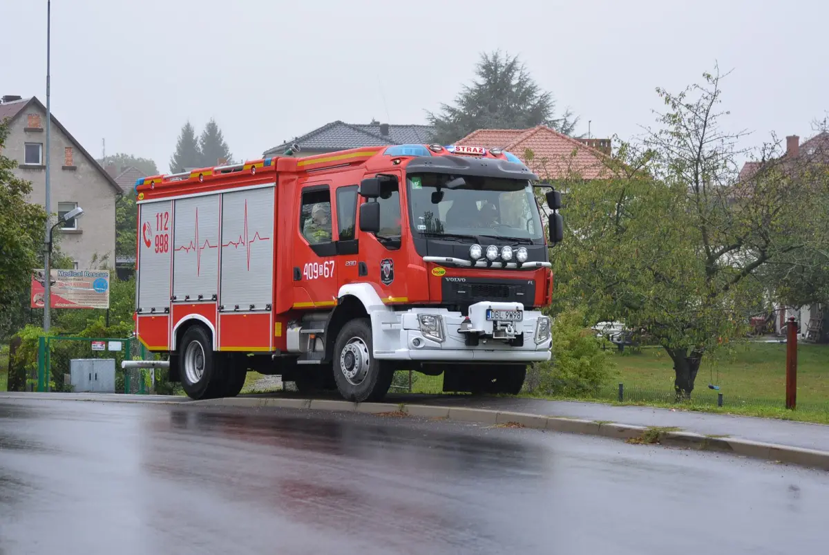 Bóbr - zdjęcia wykonane 16 września, kilka min pod 8.00