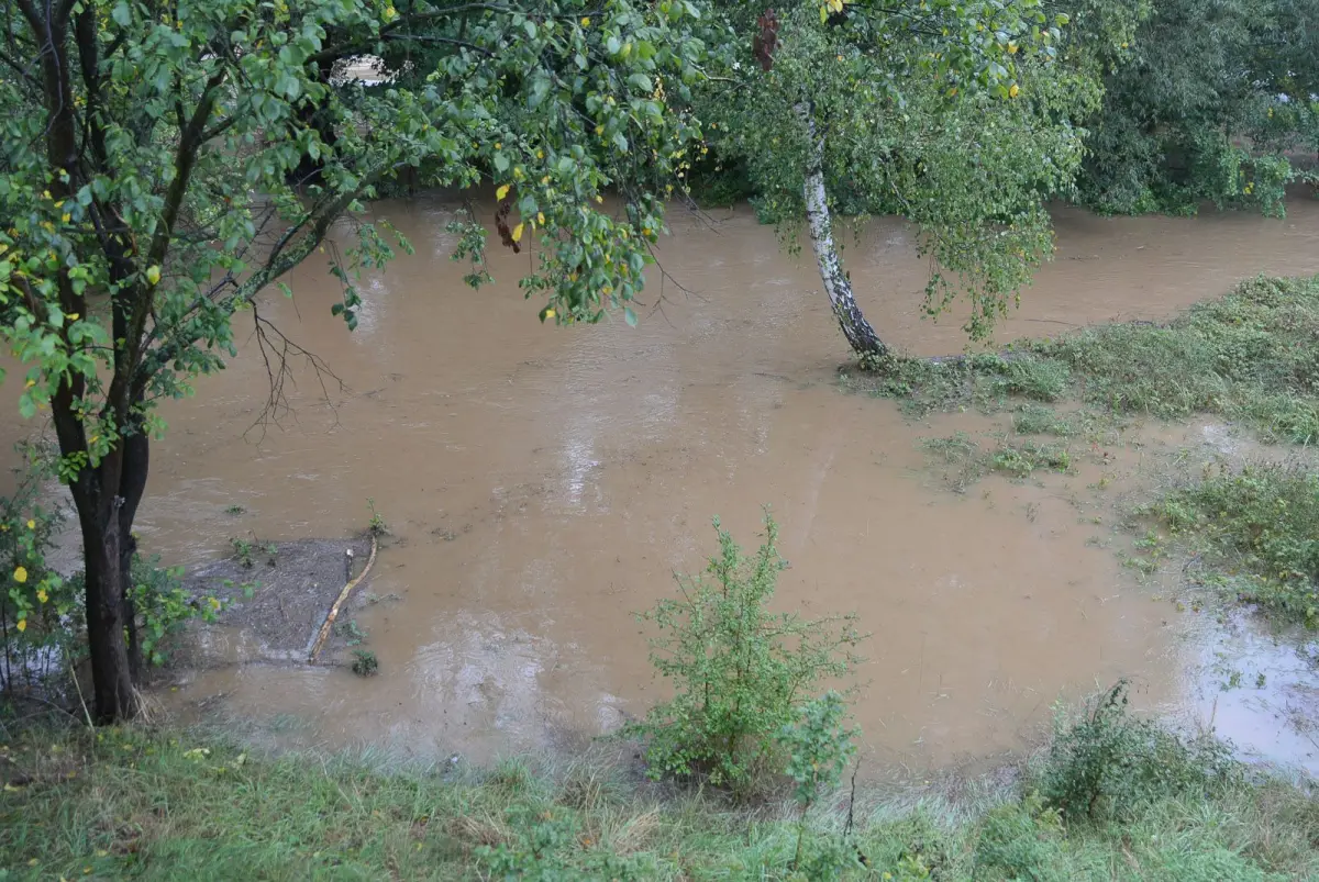 Bóbr - zdjęcia wykonane 16 września, kilka min pod 8.00