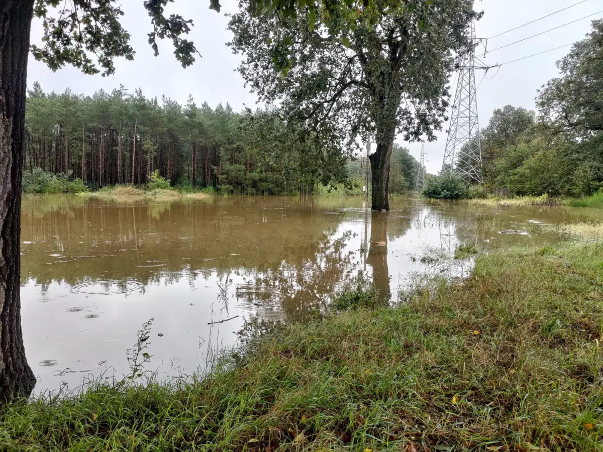 Boisko w Bolesławicach