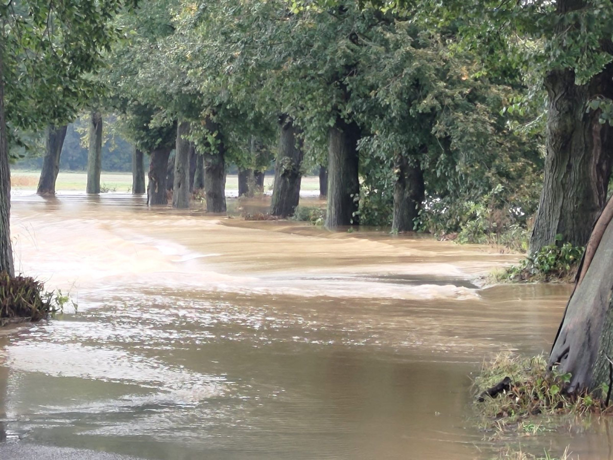 Sytuacja w Krępnicy