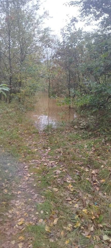 Sytuacja na Kościuszki