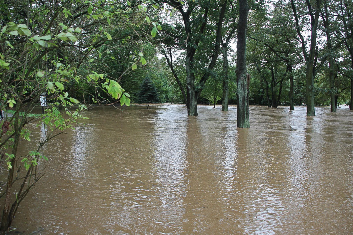 Zalany bulwar nad Bobrem