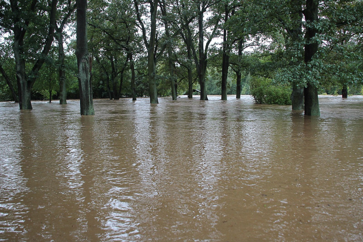 Zalany bulwar nad Bobrem