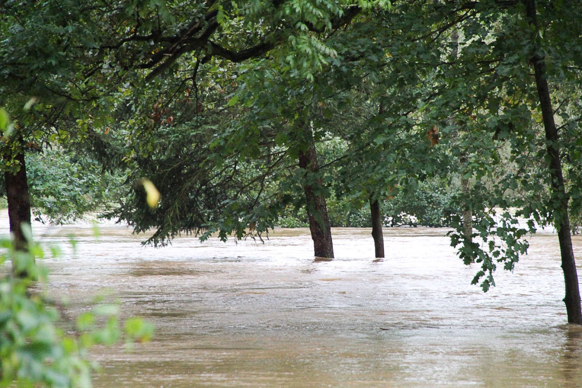 Zalany bulwar nad Bobrem