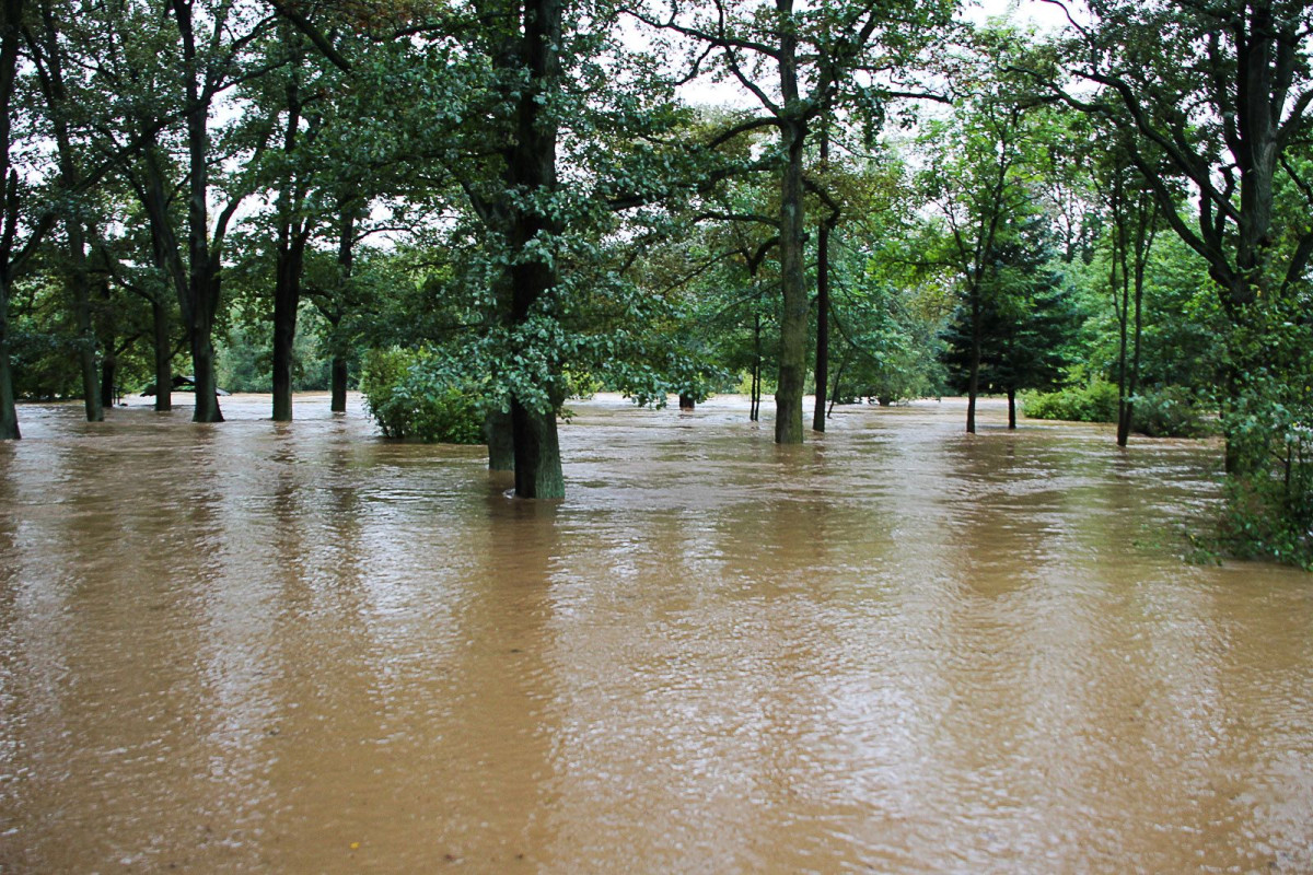 Zalany bulwar nad Bobrem