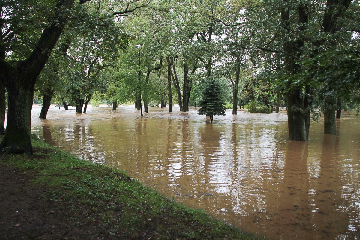 Zalany bulwar nad Bobrem
