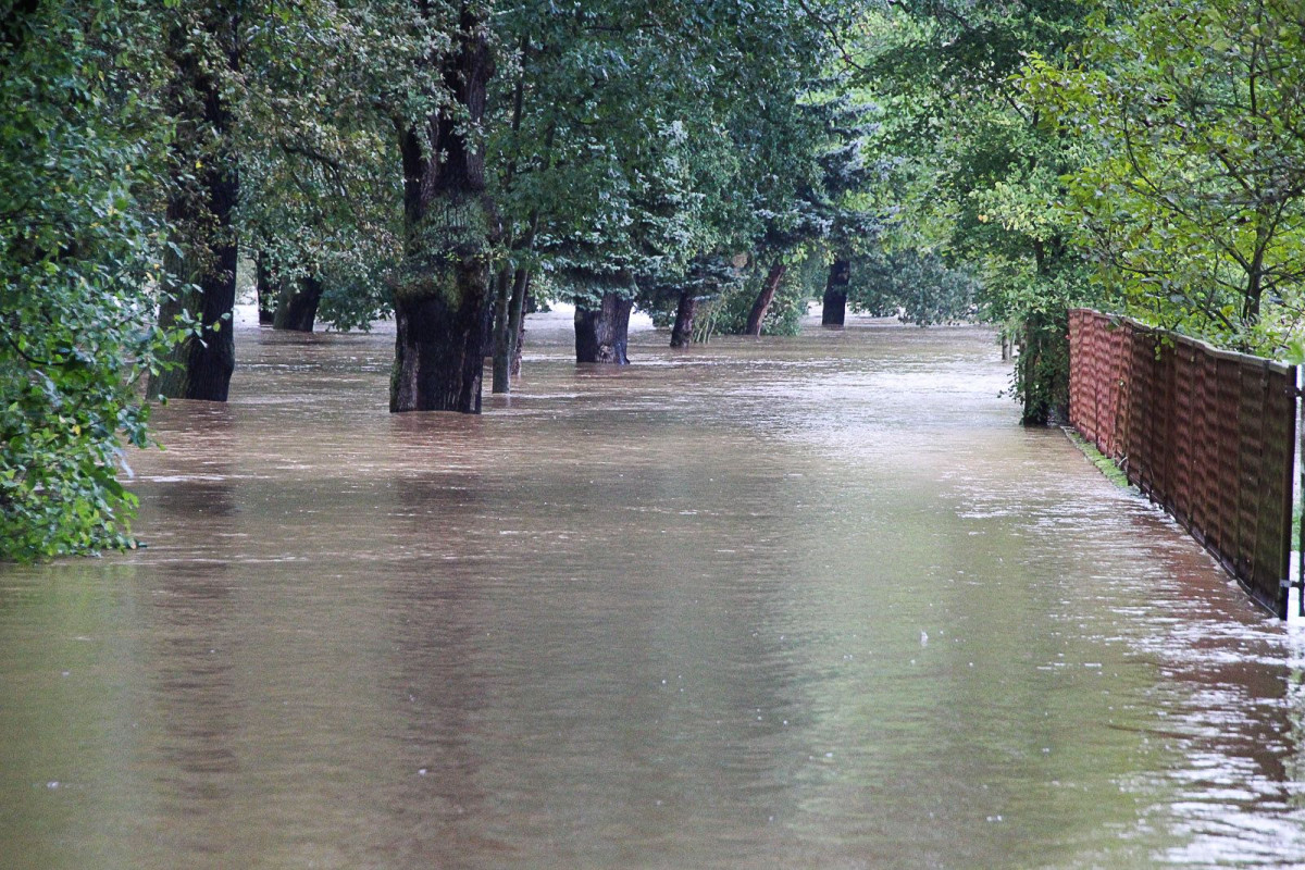 Zalany bulwar nad Bobrem