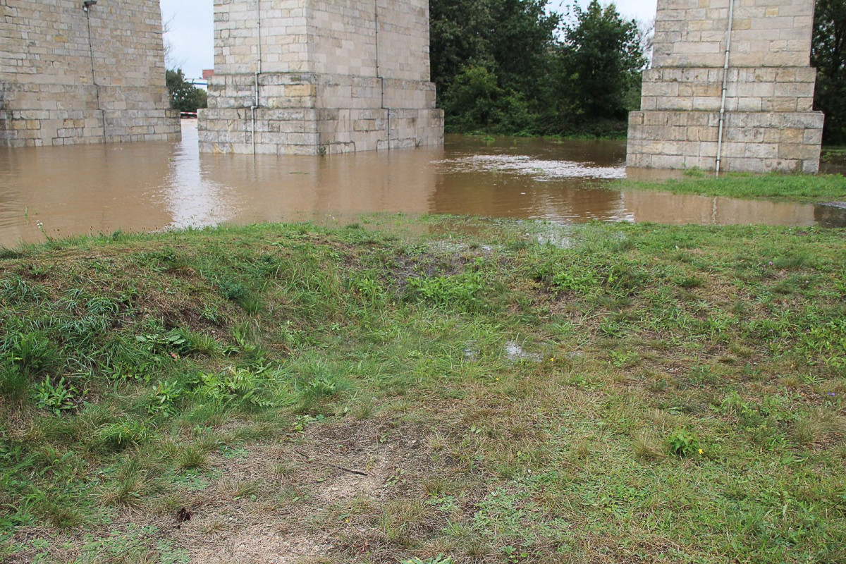 Zalane okolice wiaduktu i mostu przy Zgorzelekciej
