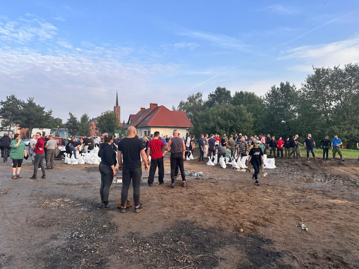 Ludzie pracujący przy ulicy Kraszewskiego