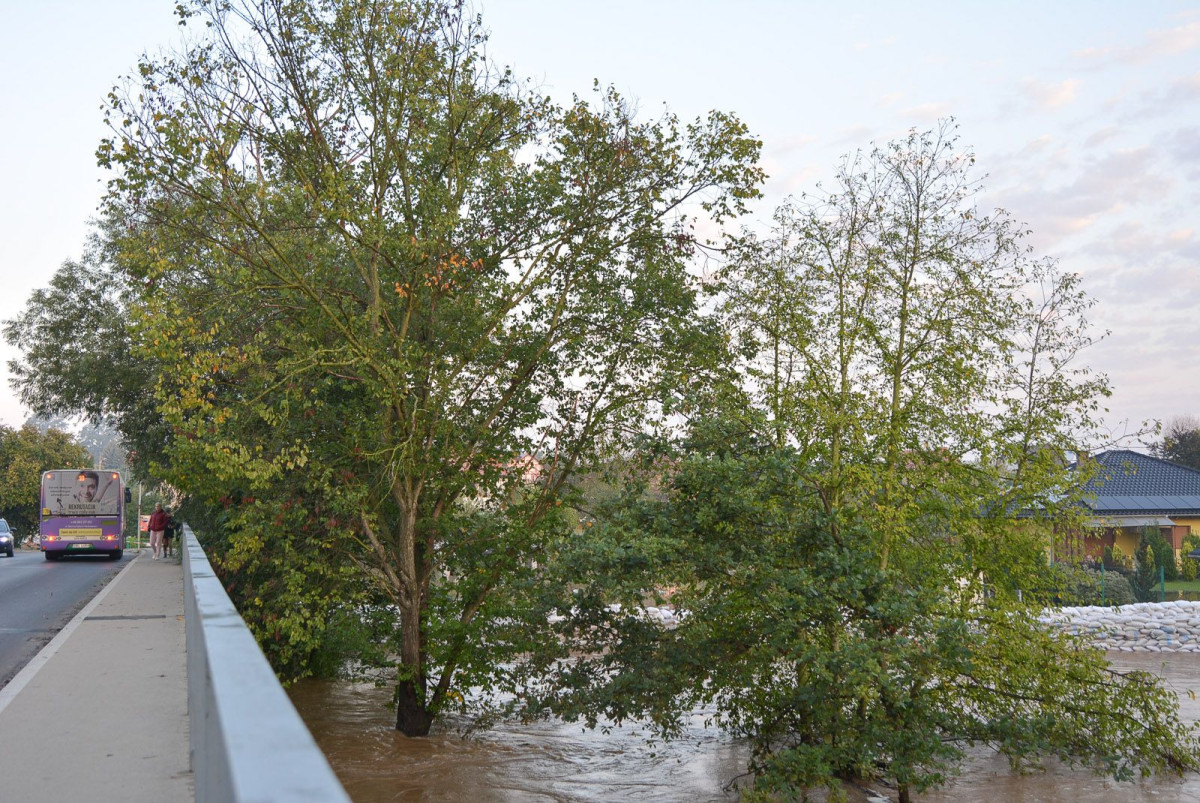 Sytuacja przy Mostowej (około godz. 7:00)