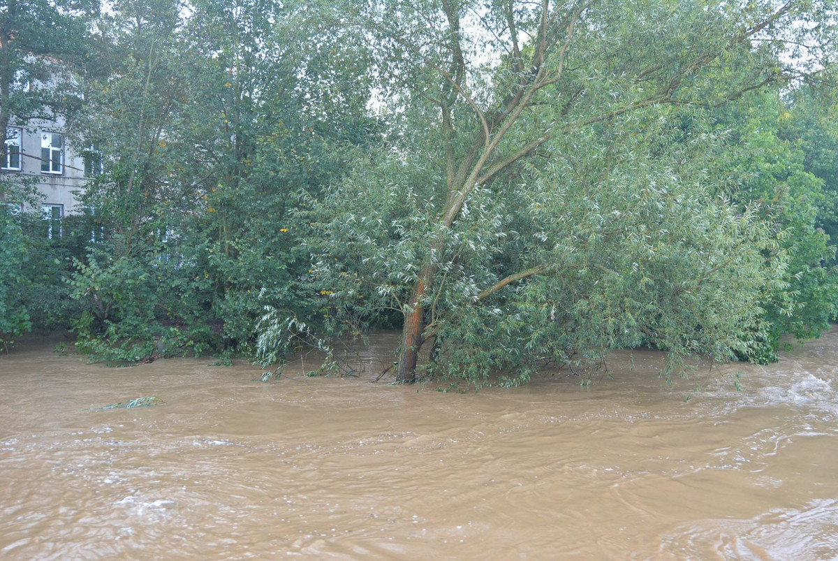 Sytuacja przy Mostowej (około godz. 7:00)