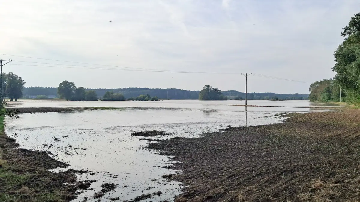 Działania strażaków