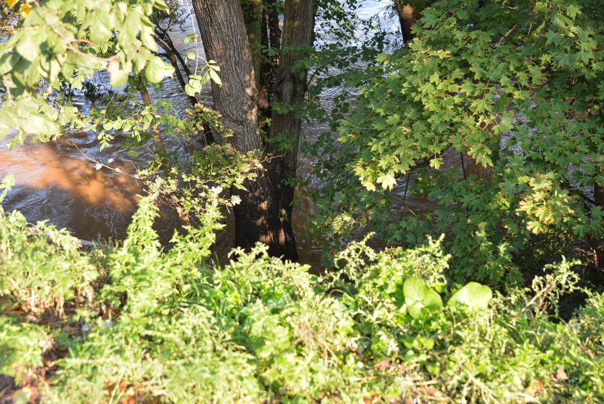 Poziom wody w Bobrze (zdjęcia wykonane około godziny 9.00)