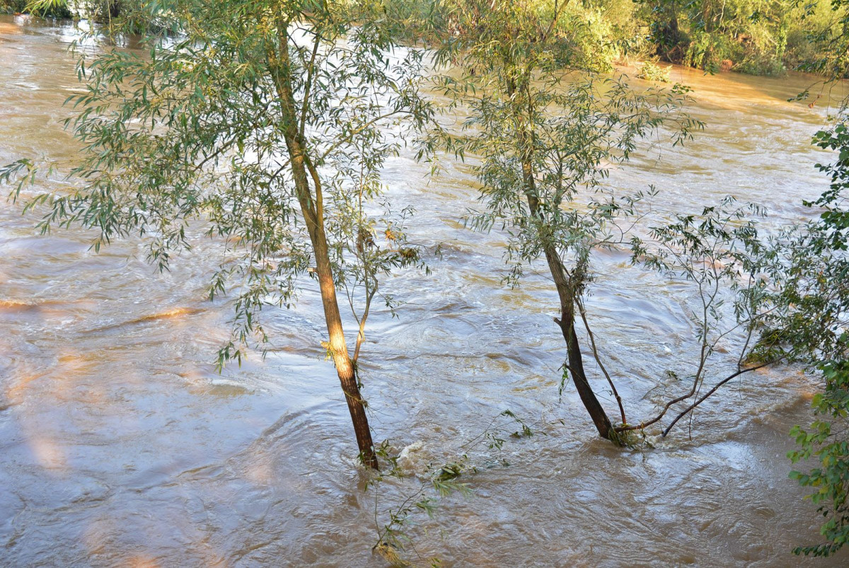 Poziom wody w Bobrze (zdjęcia wykonane około godziny 9.00)
