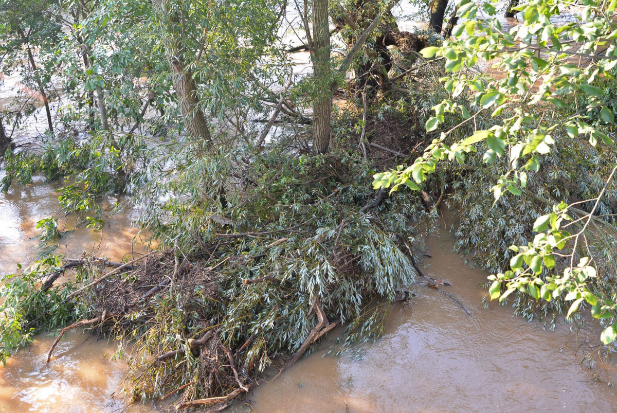 Poziom wody w Bobrze (zdjęcia wykonane około godziny 9.00)