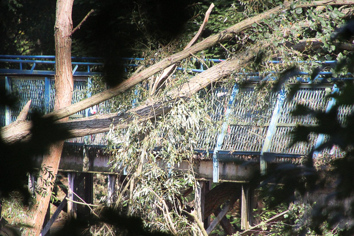 Drzewa spadły na kładkę