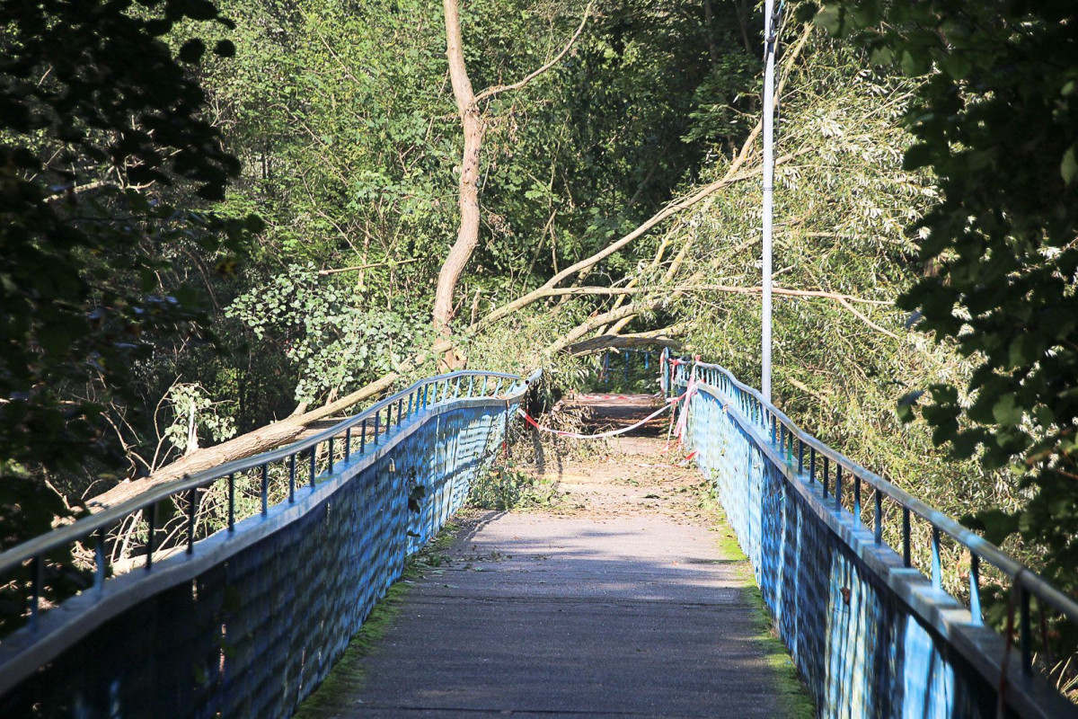 Drzewa spadły na kładkę