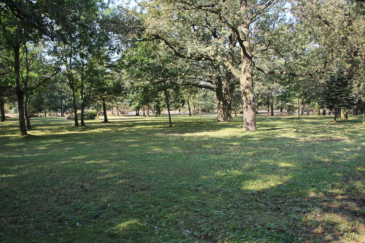 Bulwar nad Bobrem po powodzi. Bóbr wraca do swojego koryta