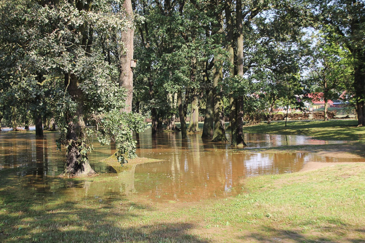 Bulwar nad Bobrem po powodzi. Bóbr wraca do swojego koryta