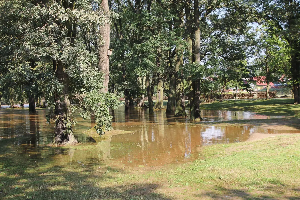 Bulwar nad Bobrem po powodzi. Bóbr wraca do swojego koryta