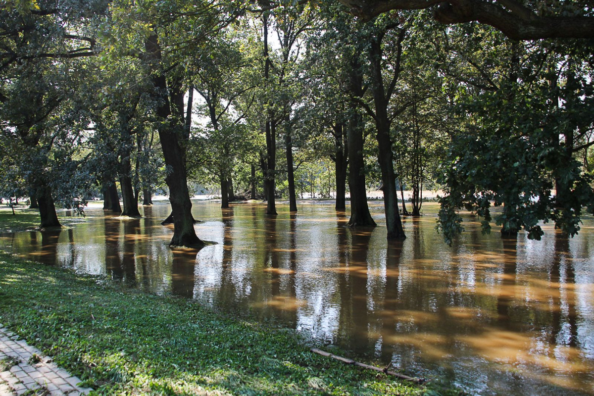 Bulwar nad Bobrem po powodzi. Bóbr wraca do swojego koryta