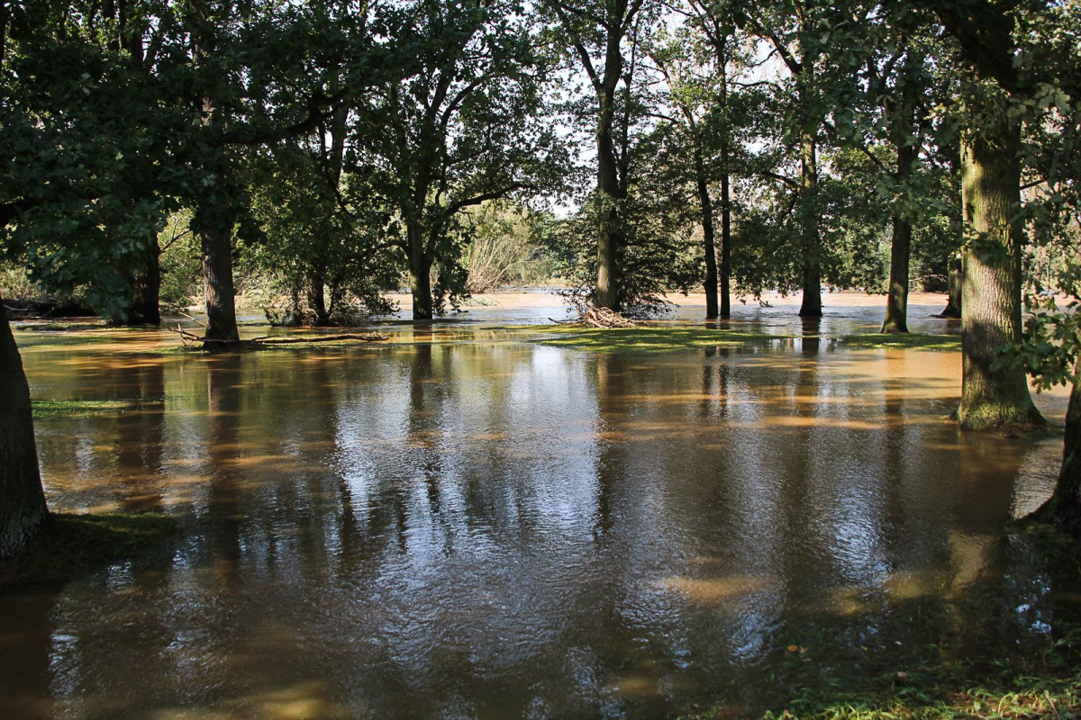 Bulwar nad Bobrem po powodzi. Bóbr wraca do swojego koryta
