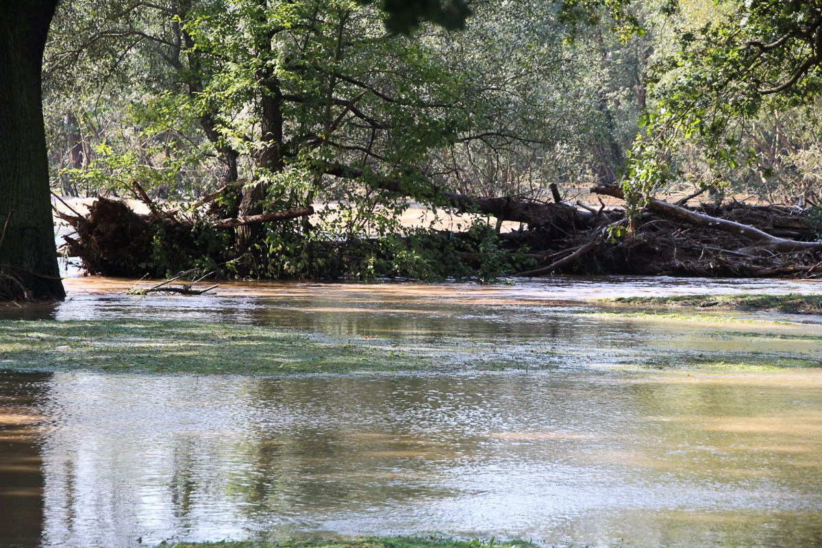 Bulwar nad Bobrem po powodzi. Bóbr wraca do swojego koryta