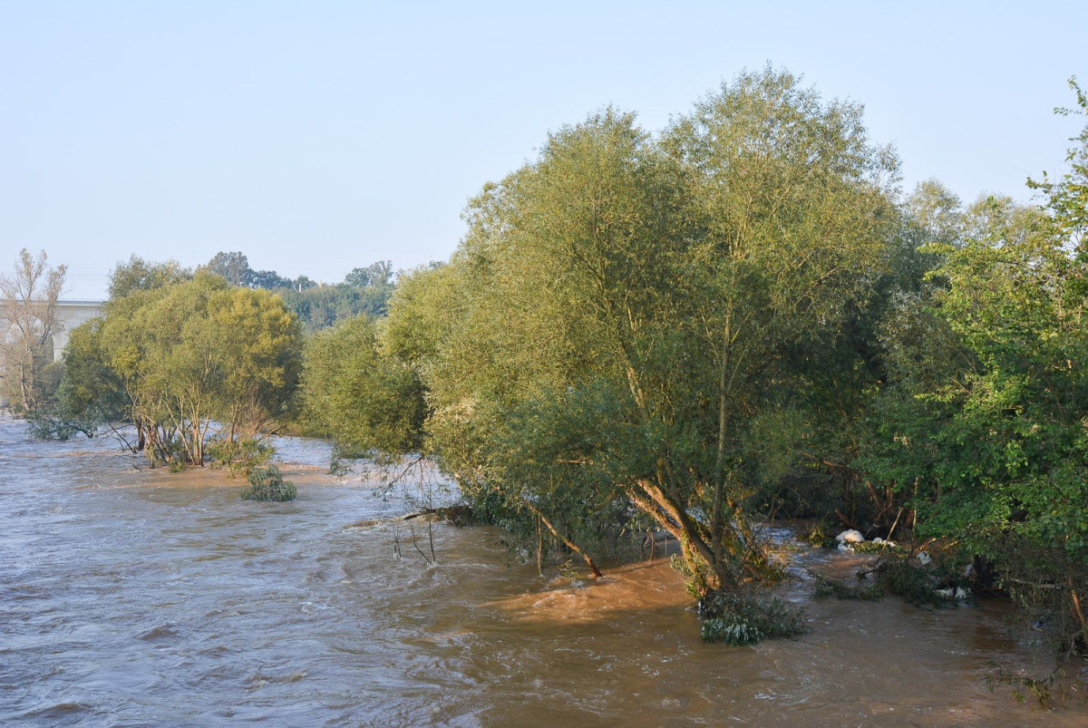 Poziom wody w Bobrze