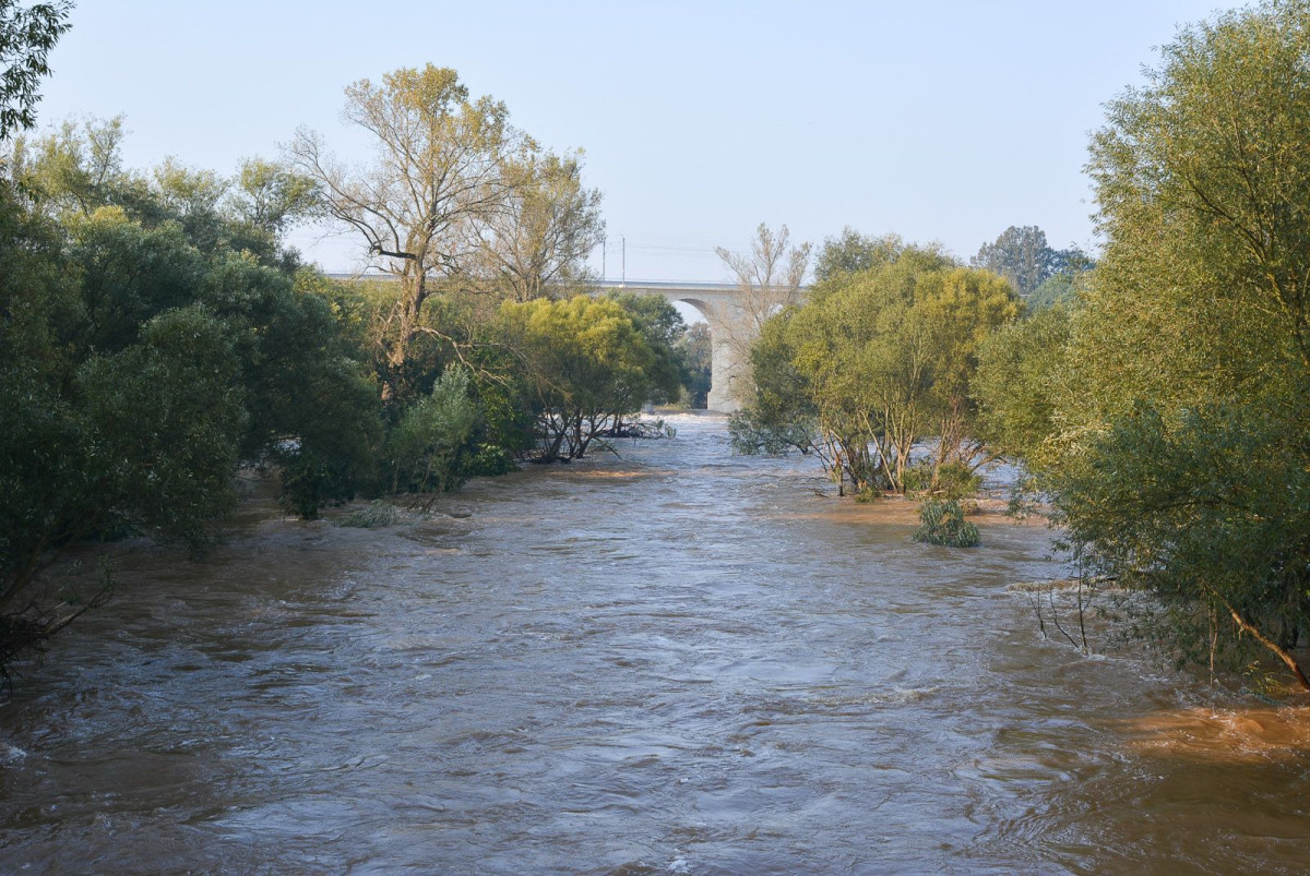 Poziom wody w Bobrze