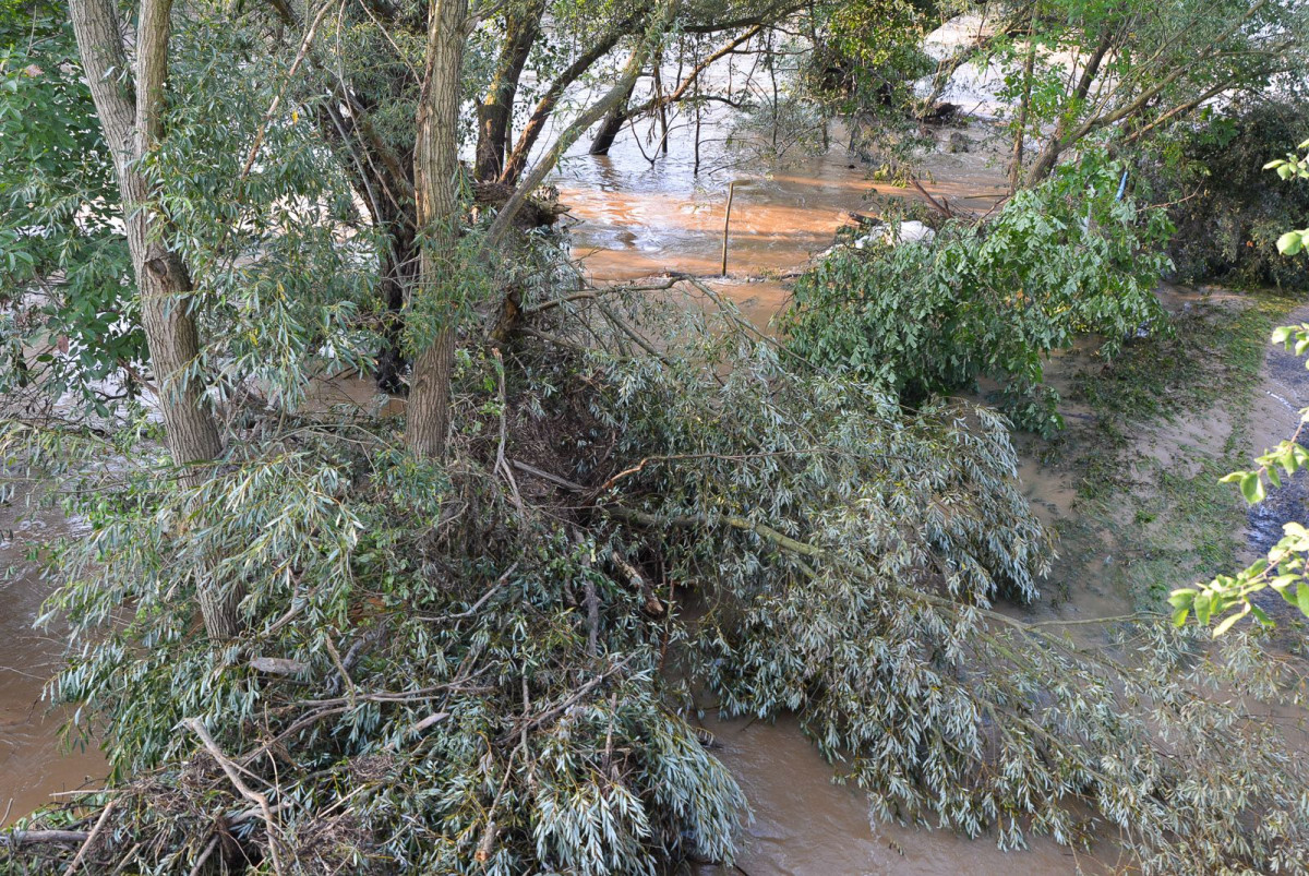 Poziom wody w Bobrze