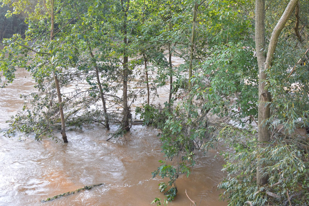 Poziom wody w Bobrze