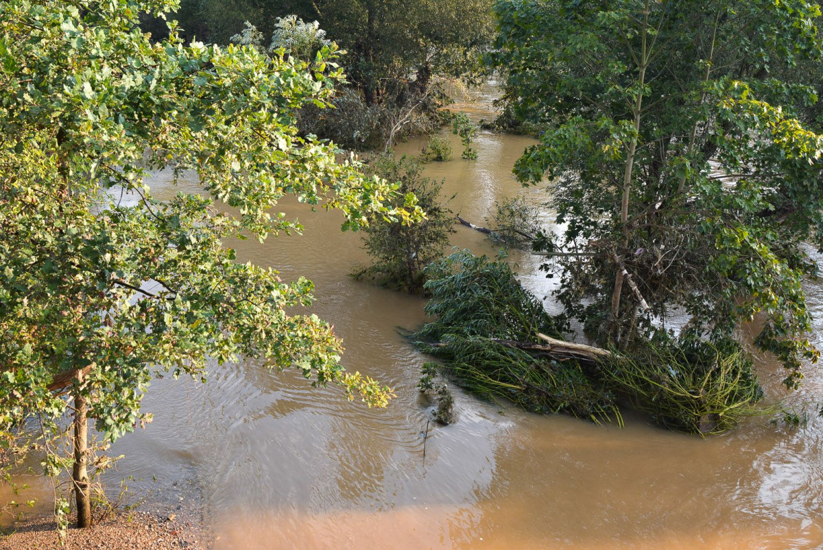 Poziom wody w Bobrze