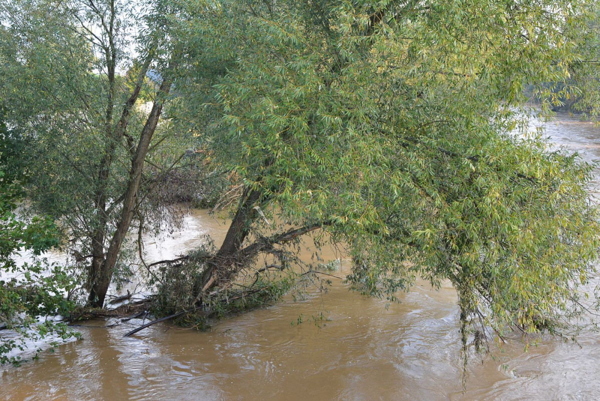 Poziom wody w Bobrze