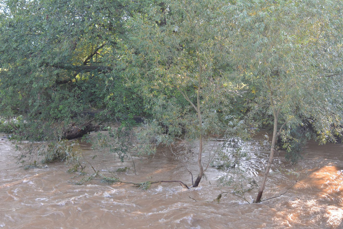 Poziom wody w Bobrze