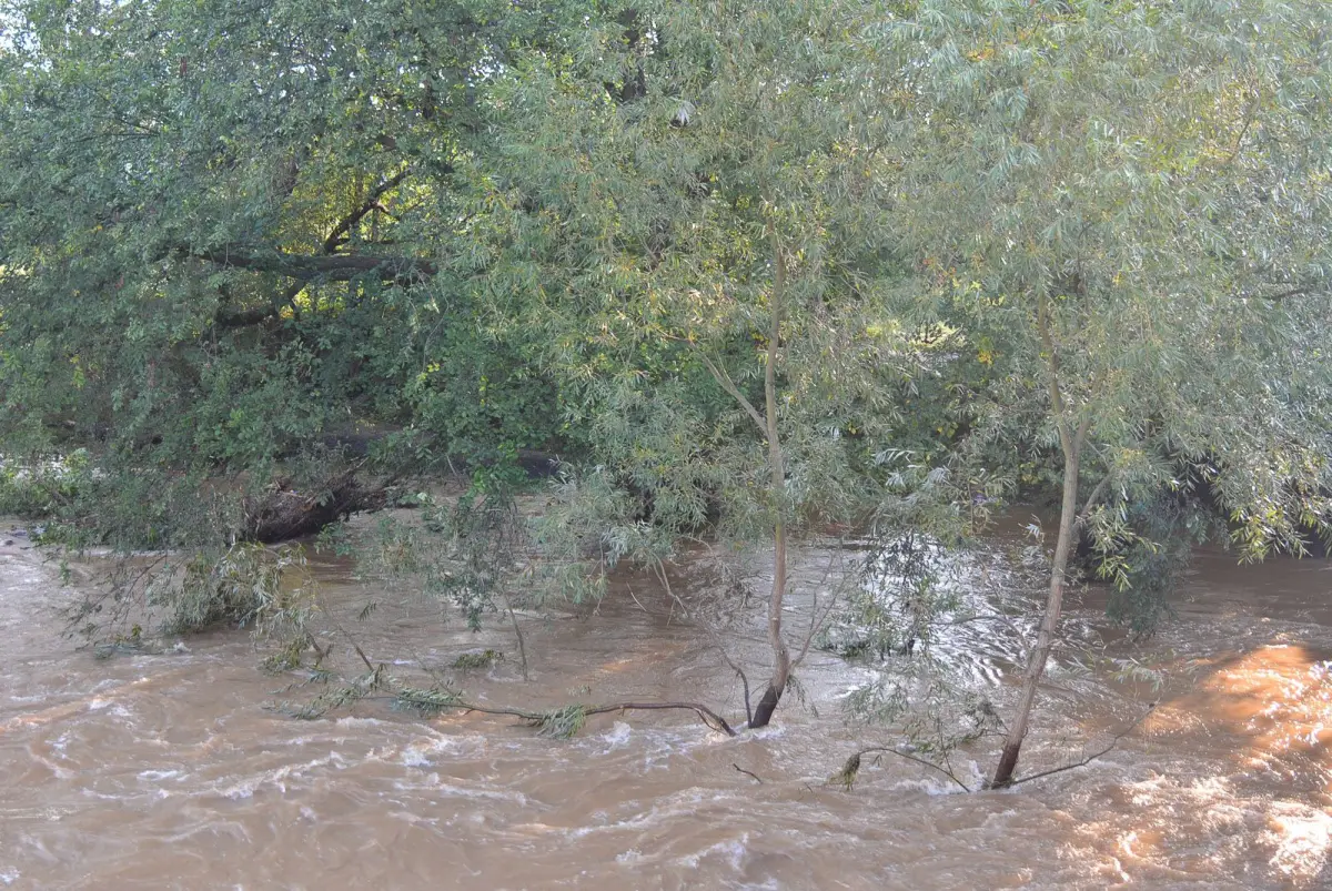 Poziom wody w Bobrze
