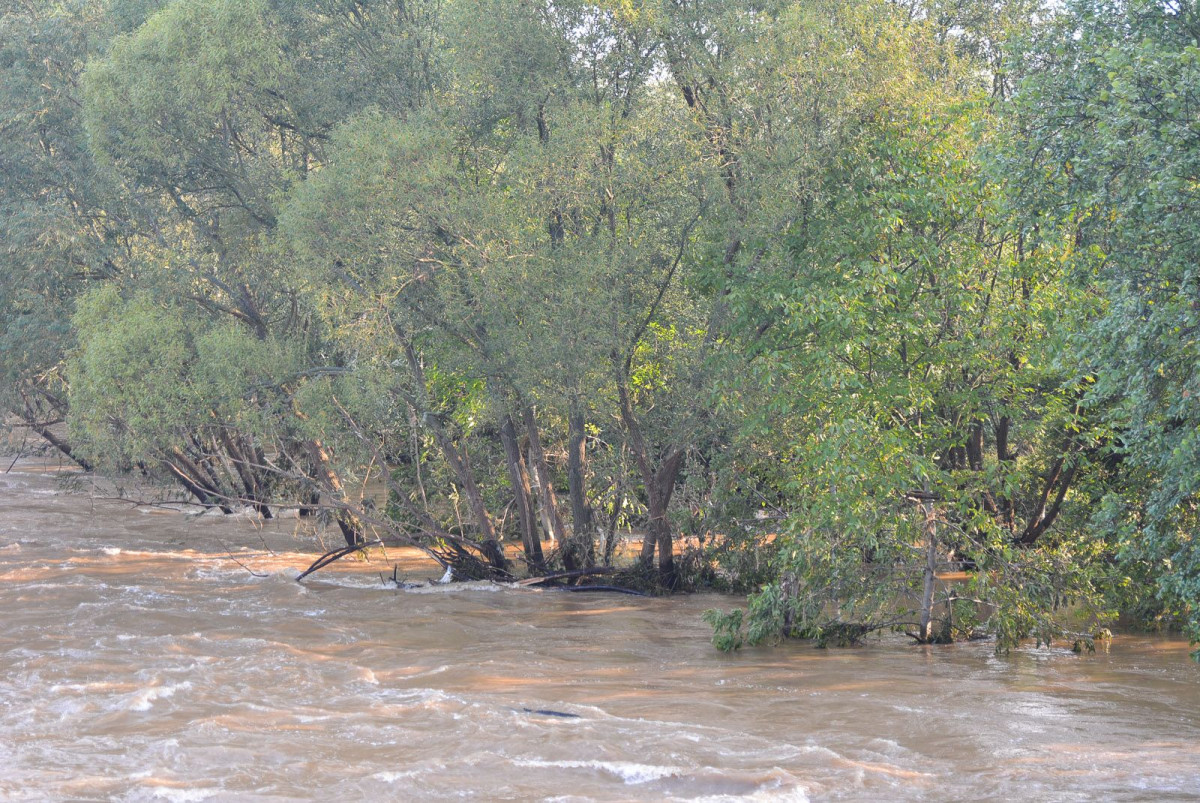 Poziom wody w Bobrze