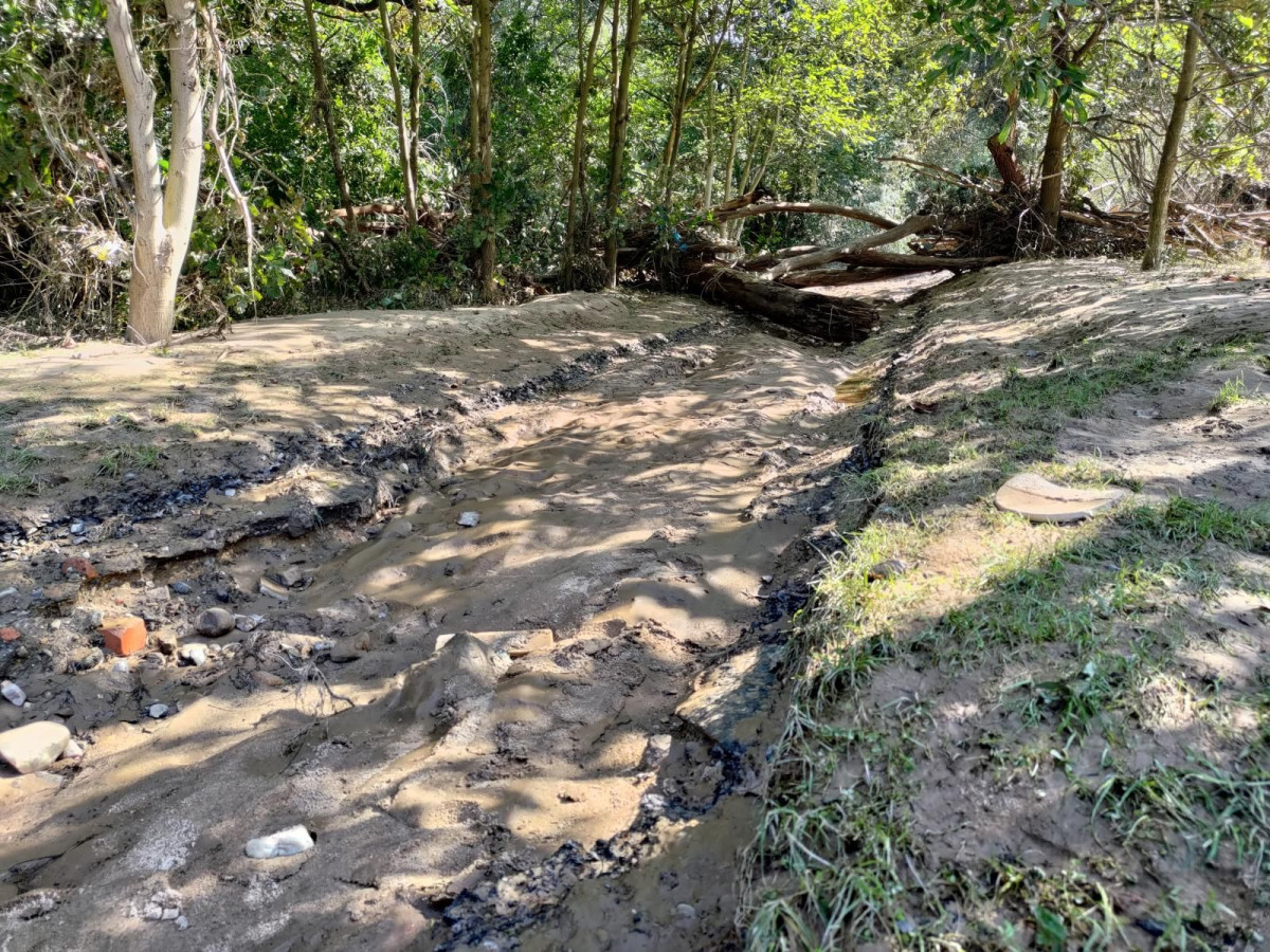 Bobrowa ścieżka po powodzi