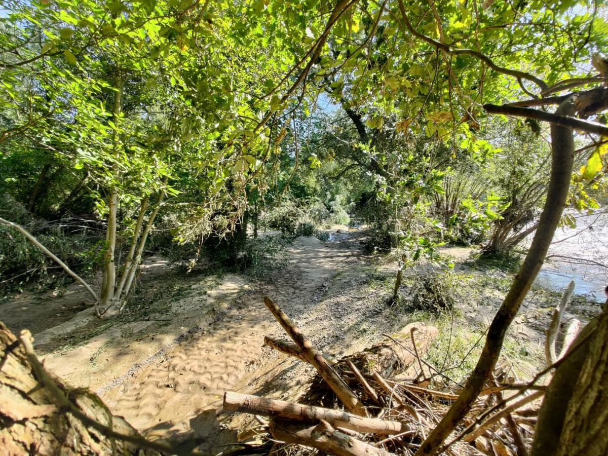 Bobrowa ścieżka po powodzi